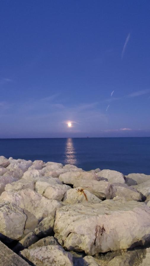 B&B Lido Apartament 10A Civitanova Marche Exterior foto